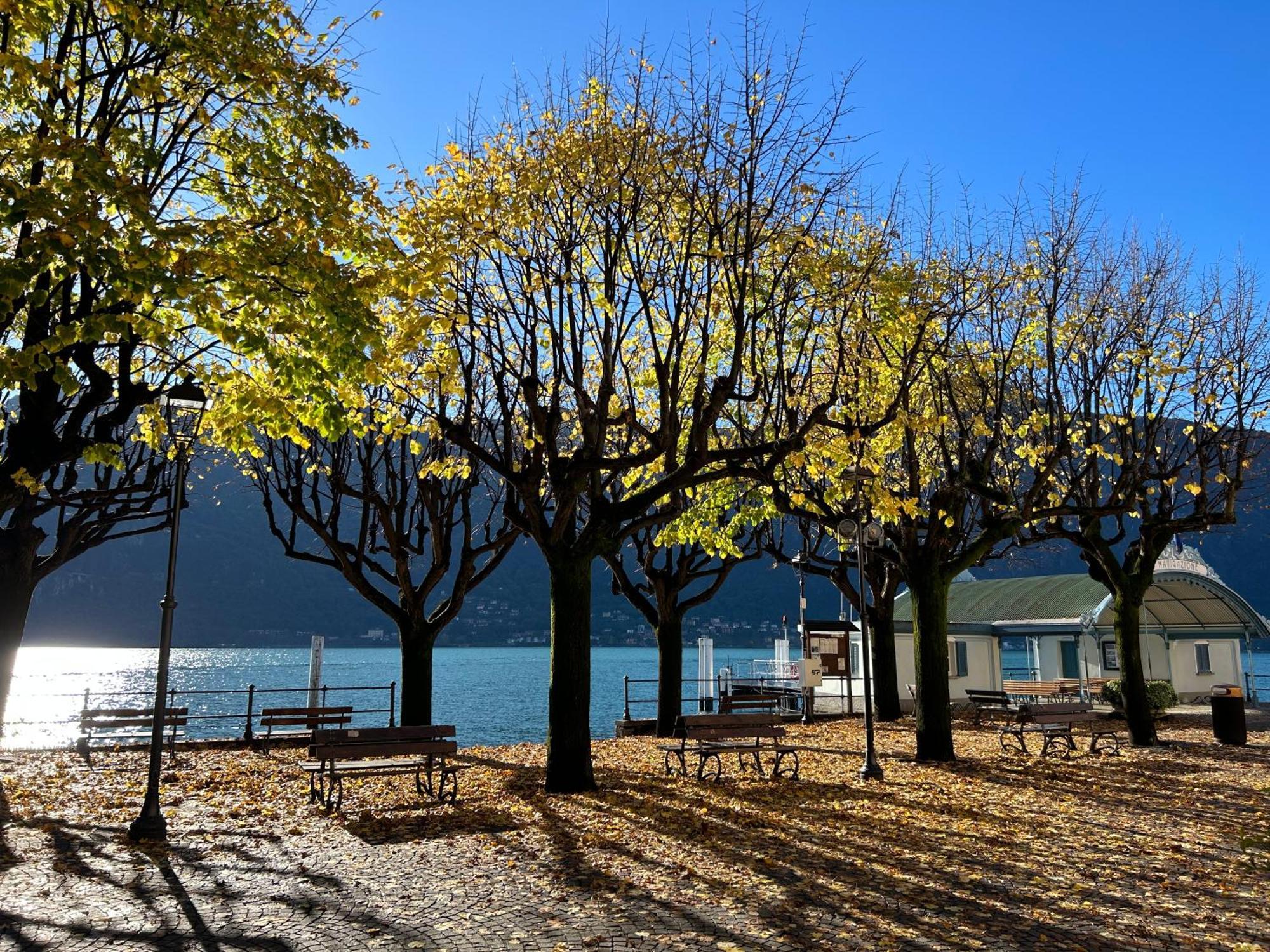 Il Mallo Verde - Lake Como B&B Mandello del Lario Exterior foto